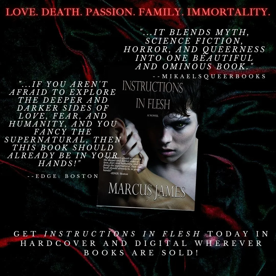 Instructions In Flesh by Marcus James