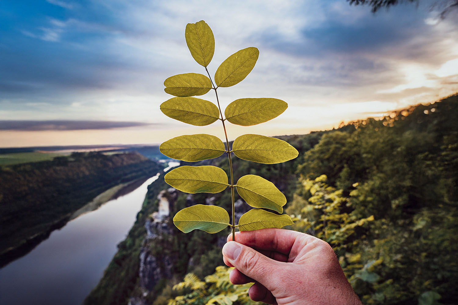 Holding nature’s beauty, embracing the view.
