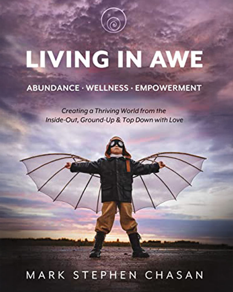 Living In AWE - Book Cover