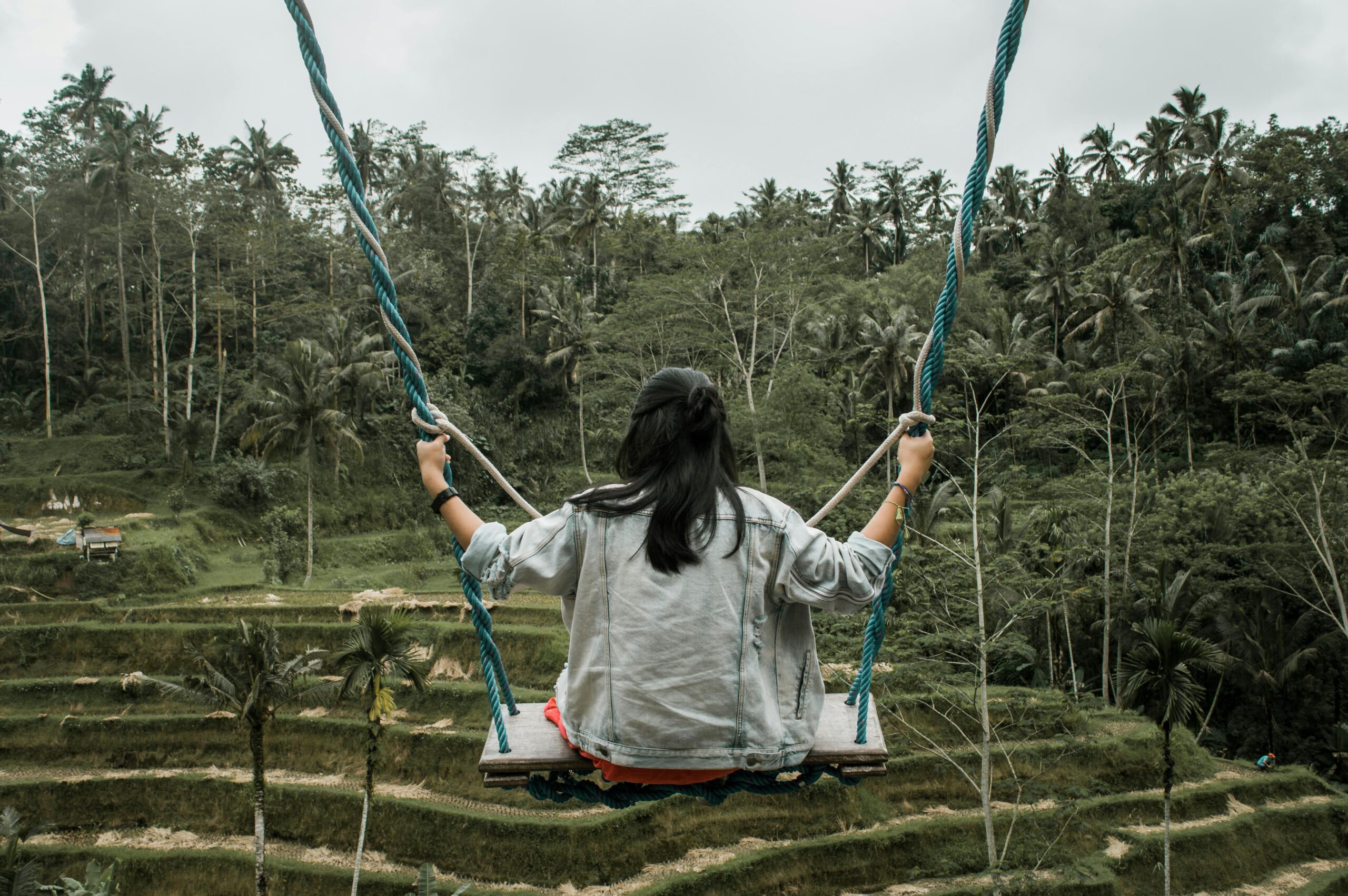 Woman enjoys high swing over lush green rice terraces